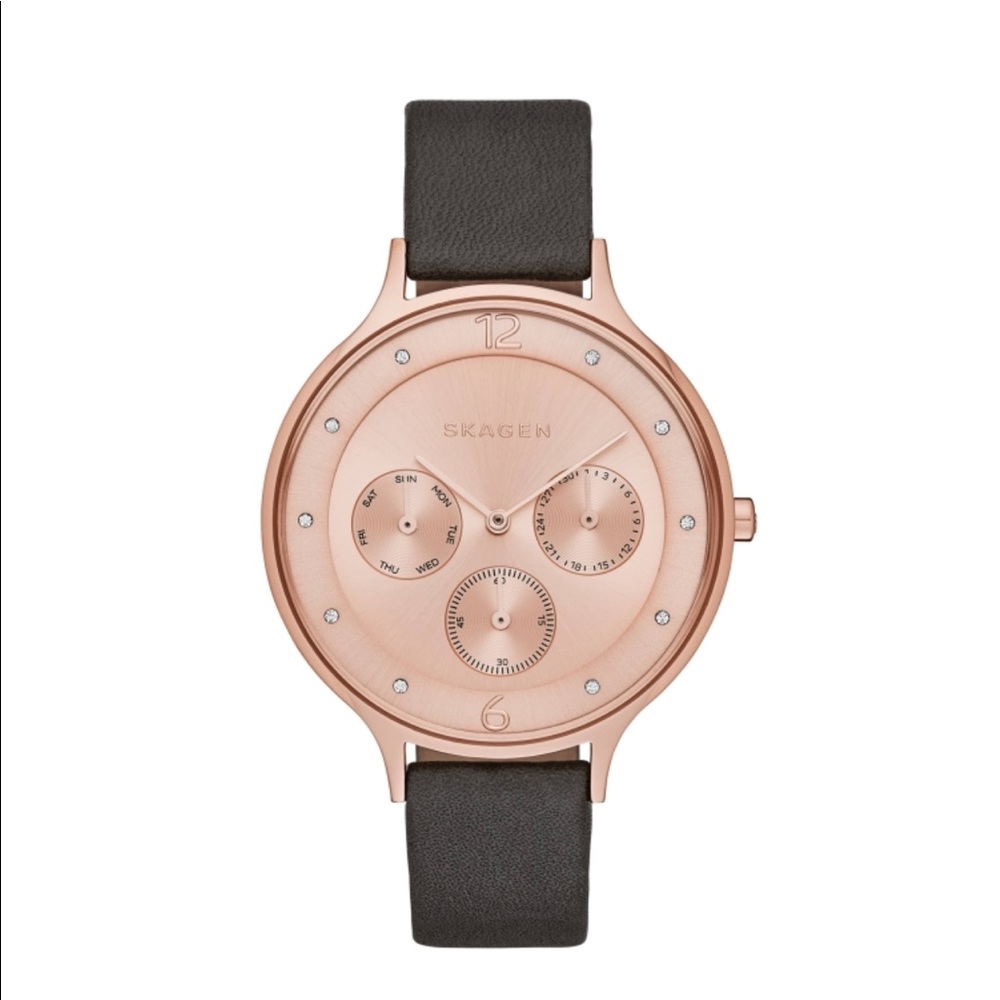 SKAGEN NWT Anita Rose Dial Grey Leather Watch